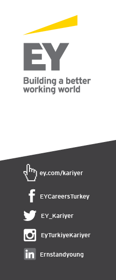 EY - Marketing Intern ( English Translator )