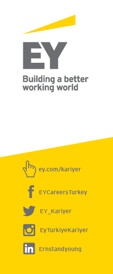 EY - Tax Long Term Intern