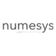 NUMESYS İLERİ MÜHENDİSLİK HİZMETLERİ ANONİM ŞİRKETİ