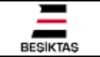 Beşiktaş Denizcilik A.Ş